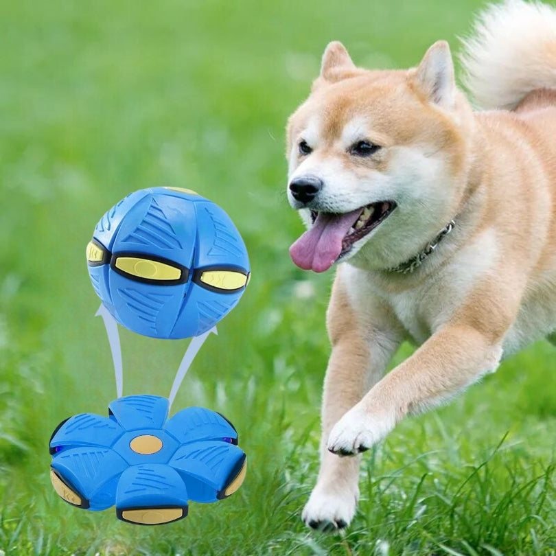 Balle pour chien | Balles volantes