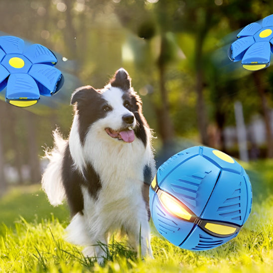 Balle pour chien | Balles volantes