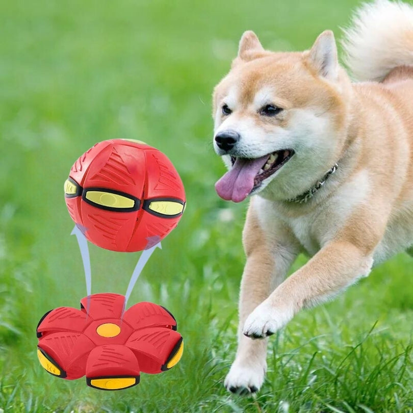 Balle pour chien | Balles volantes