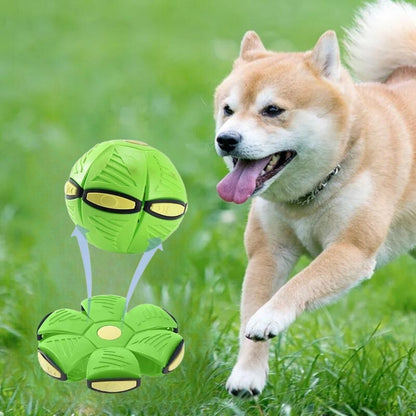 Balle pour chien | Balles volantes