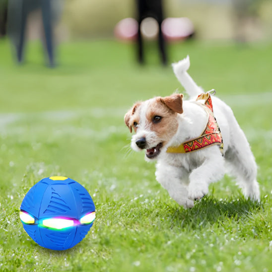 Balle pour chien | Balles volantes