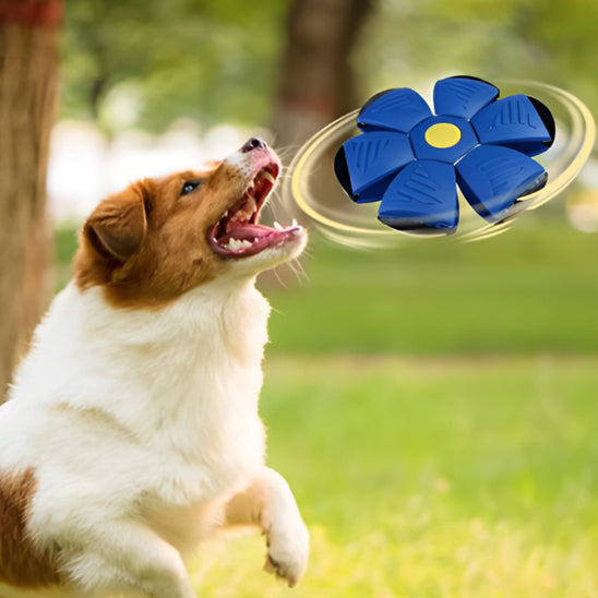 Balle pour chien | Balles volantes