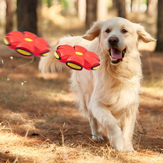 Balle pour chien | Balles volantes