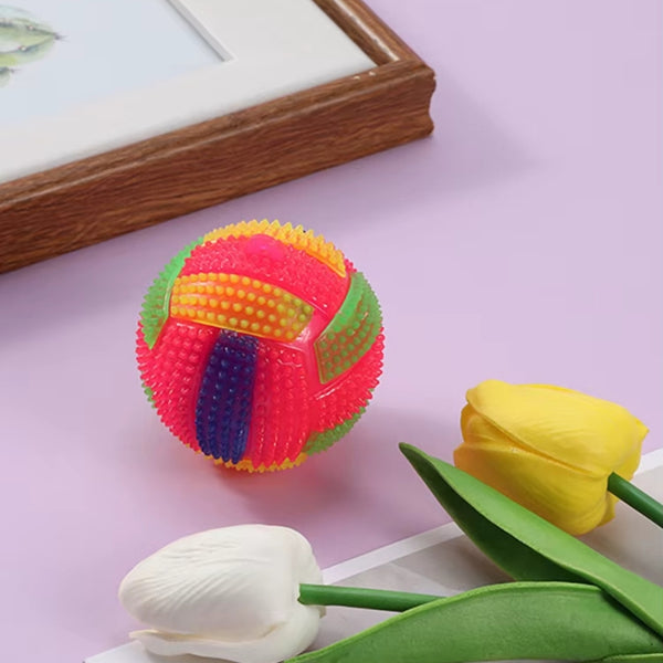 Ballon pour chien increvable | Lumi™