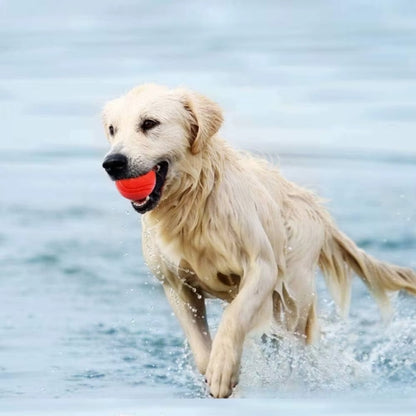 Ballon pour chien indestructible | Ultra-résistant
