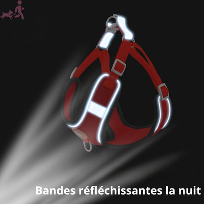 HARNAIS CHIEN ANTI TRACTION | KITBALADE™ - Je Promène Mon Chien