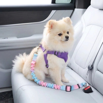 Ceinture de sécurité pour chien | Universelle