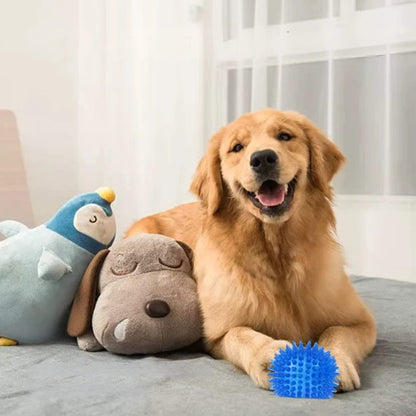 Balle pour chiens | ChewBall™