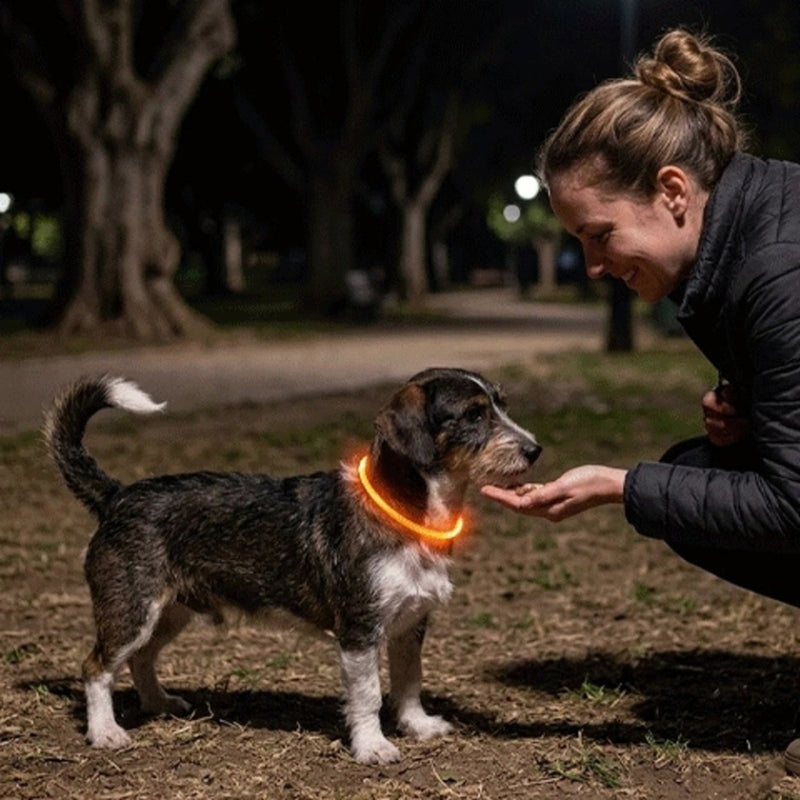 Collier chien lumineux orange 50cm
