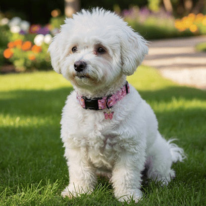 collier chiot motif papillon rose au jardin
