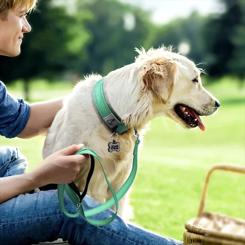 Collier pour chien vert en picnic
