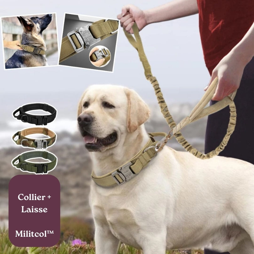 Collier tactique pour grand chien | Militcol™