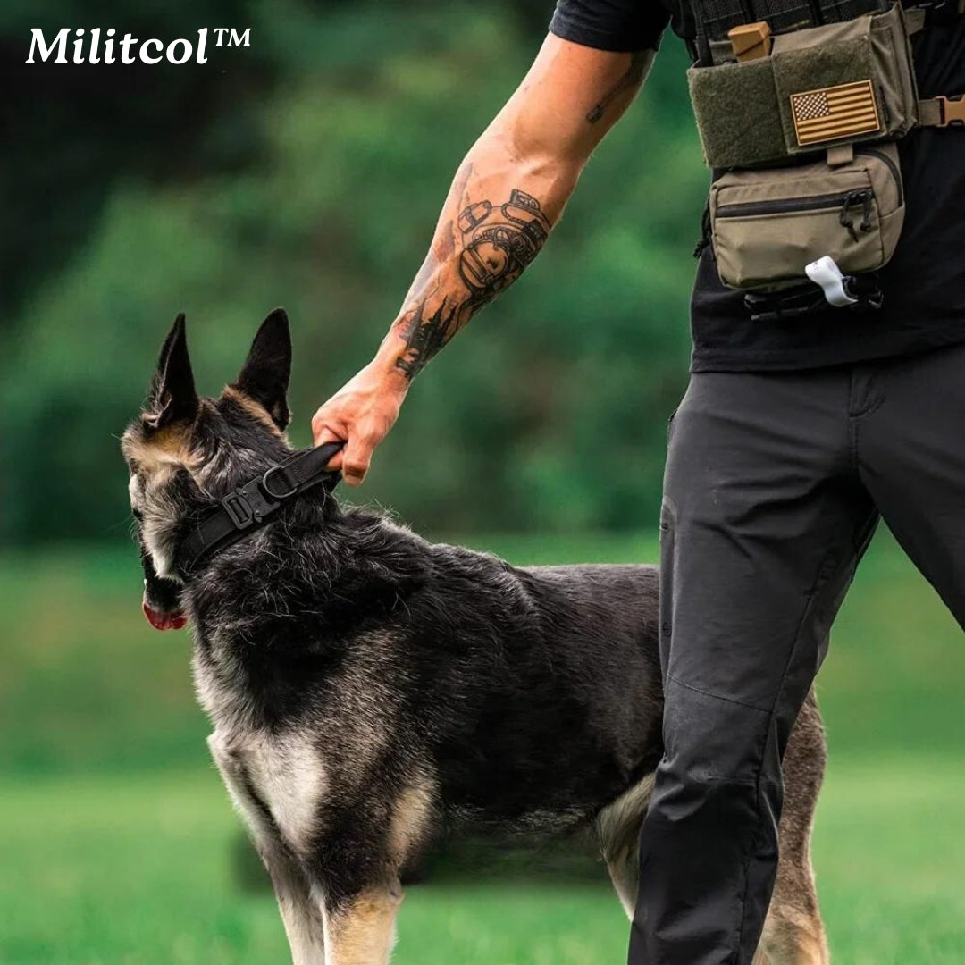 Collier tactique pour grand chien | Militcol™