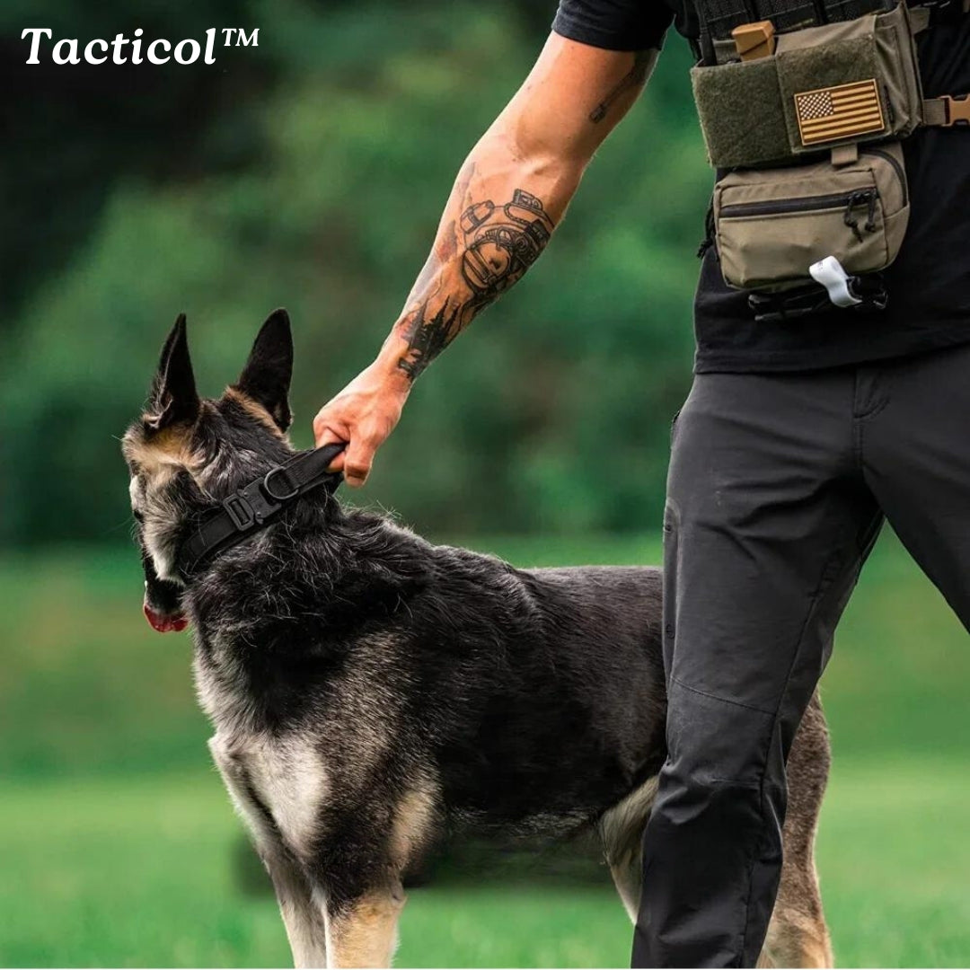 collier-de-dressage-pour-chien-tacticol4