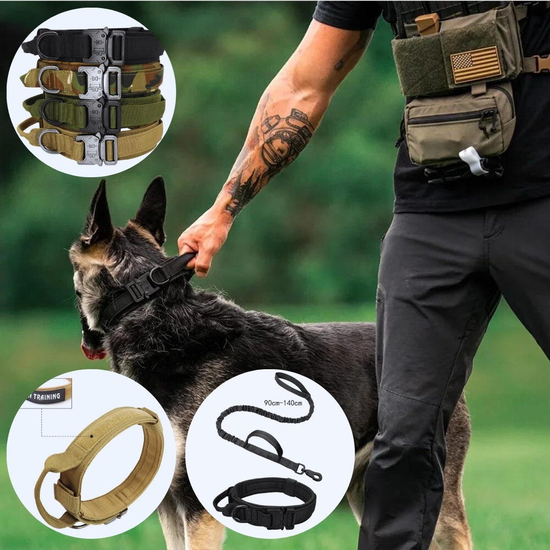 Collier tactique pour grand chien | Militcol™