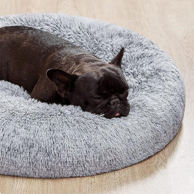 coussin chien Nidouillet chien noir endormi