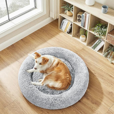 coussin chien Nidouillet gris vue d'en haut devant fenêtre