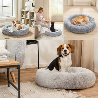 coussin chien Nidouillet en appartement