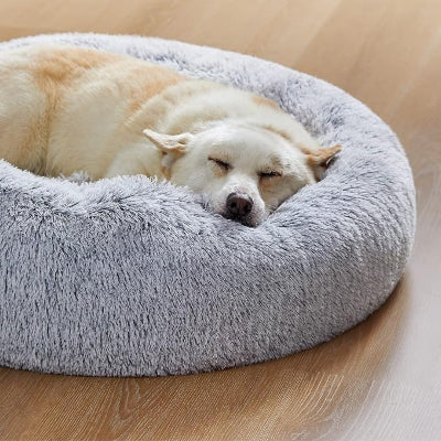 coussin chien Nidouillet chien endormi paisiblement