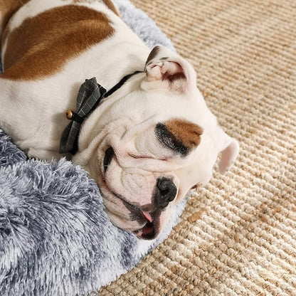 Coussin pour chien - Nidouillet™