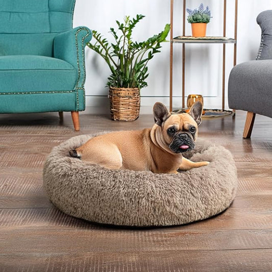 Coussin pour chien - Nidouillet™