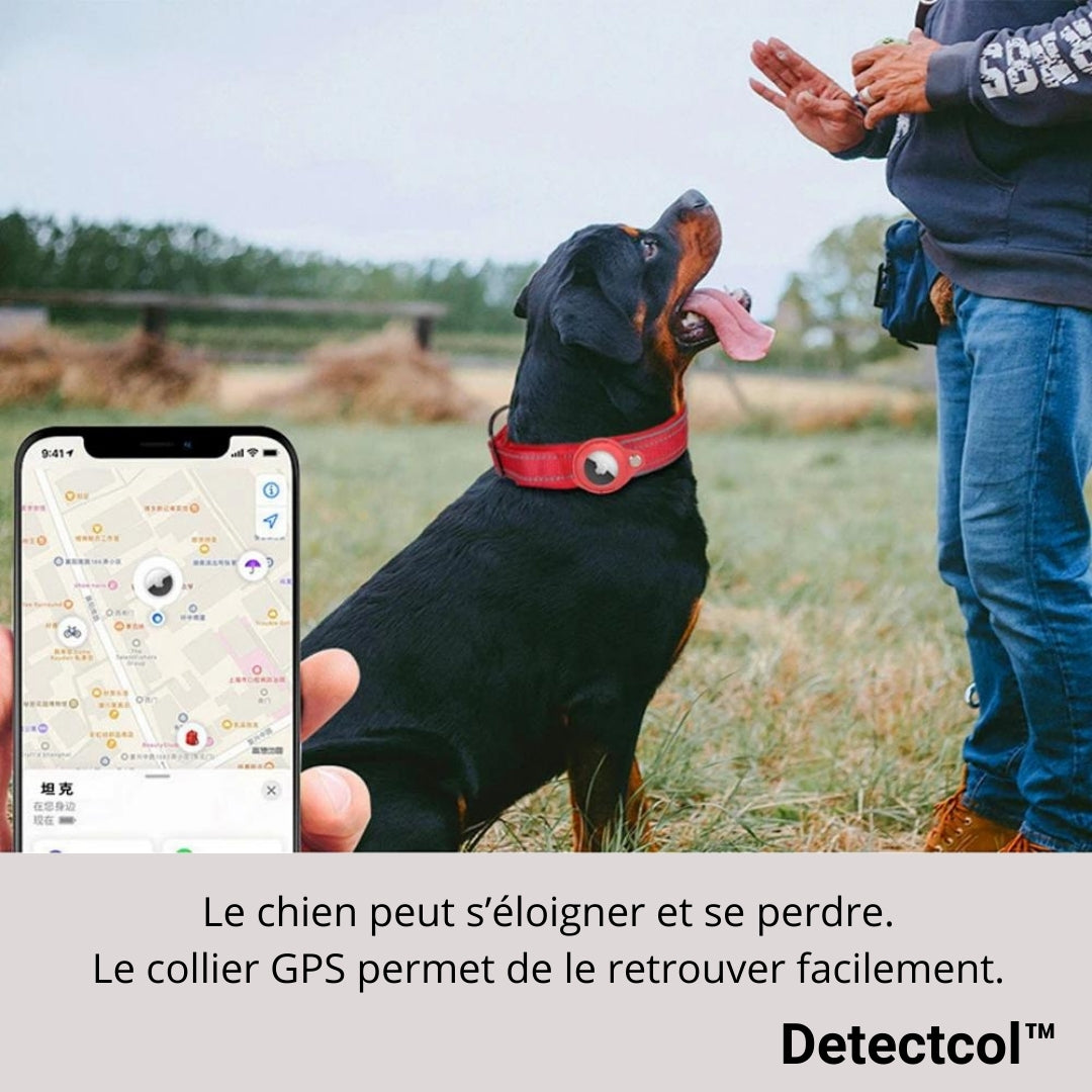 collier-anti-fugue-chien-detectcol3