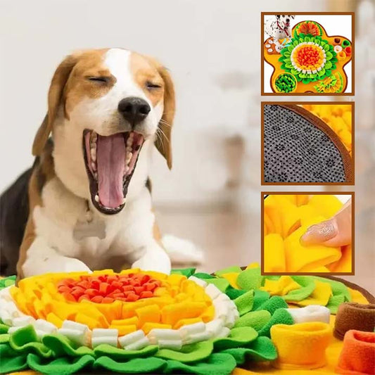 Tapis de fouille chien | Sensiflor™ - Je Promène Mon Chien