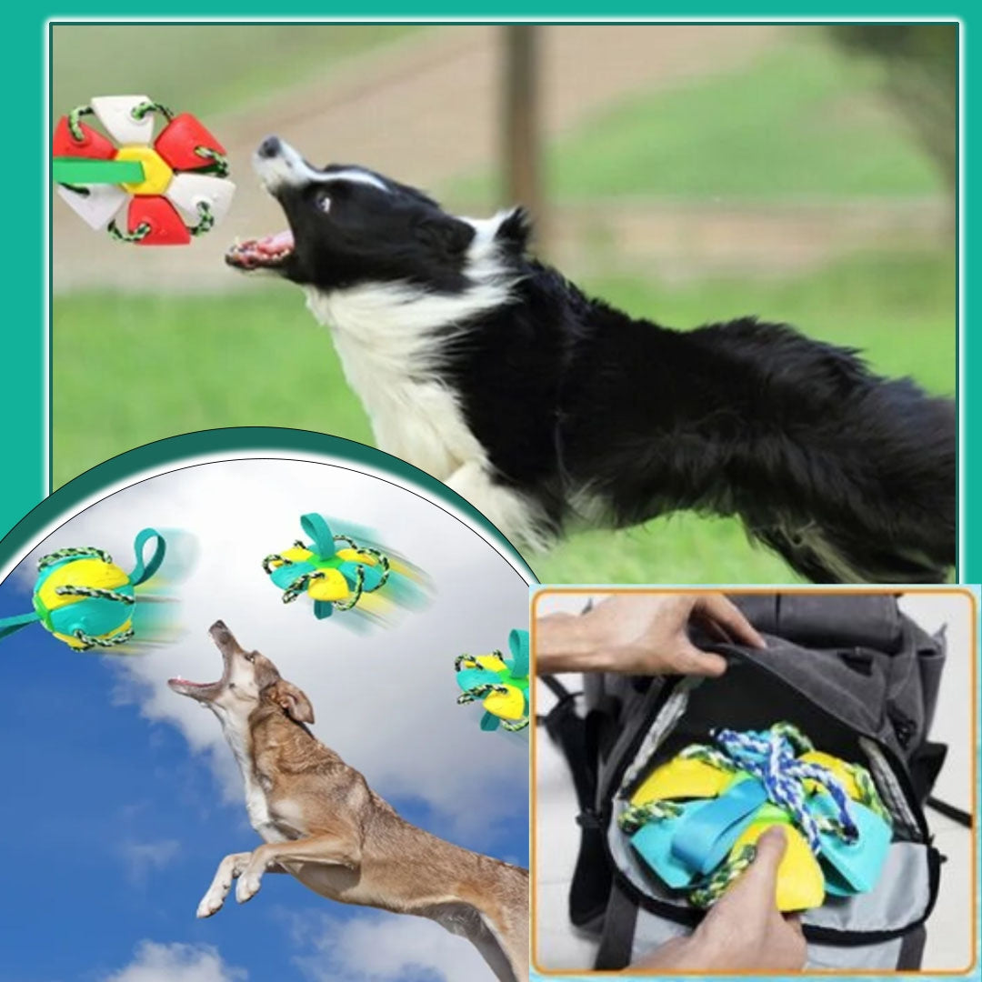 Balle pour chien - Extraballe™ magique 2 en 1