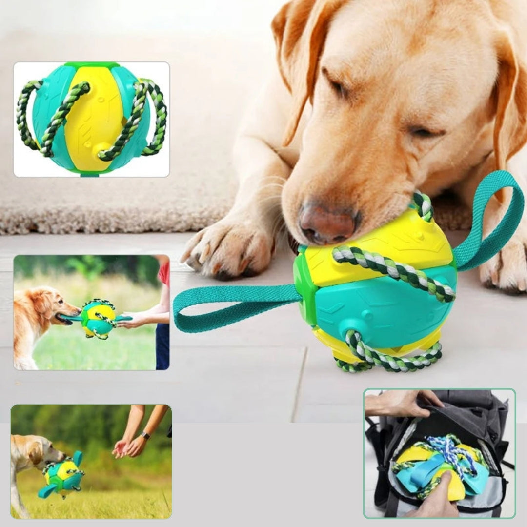 Balle pour chien - Extraballe™ magique 2 en 1