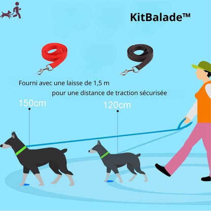 HARNAIS CHIEN ANTI TRACTION | KITBALADE™ - Je Promène Mon Chien