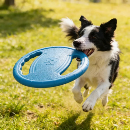 Frisbee chien | Ludique™