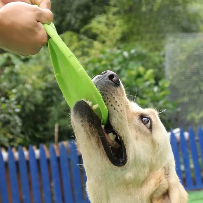 Frisbee chien | Ultra-résistant