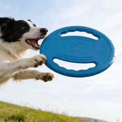 Frisbee chien | Ludique™