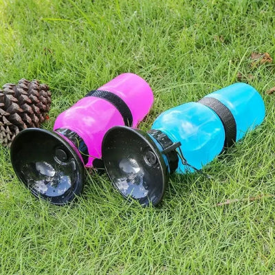 2 gourdes bleu et rose posées sur l'herbe