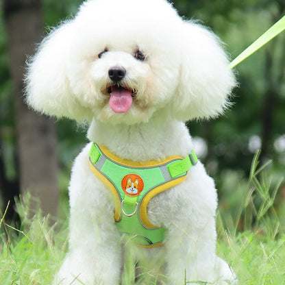 Harnais chien anti traction | KitBalade™