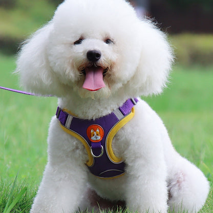 Harnais chien anti traction | KitBalade™