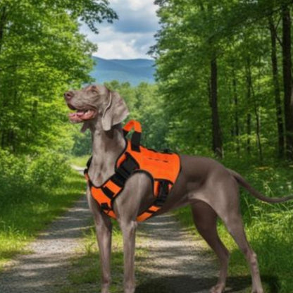 harnais chien confort securise orange