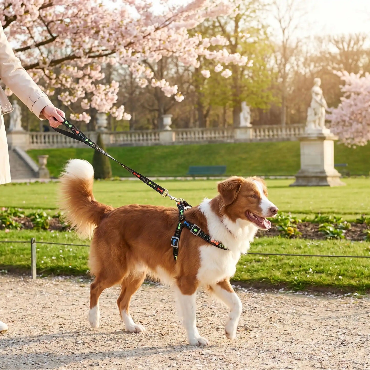 Harnais chien au parc de Sceau