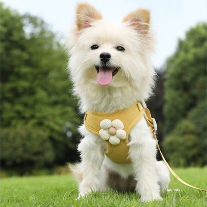 Harnais pour petit chien | ComfortBreath™