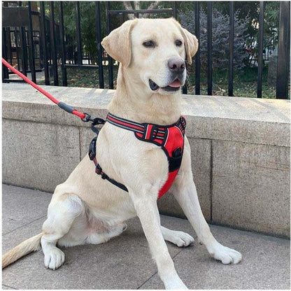 HARNAIS CHIEN ANTI TRACTION | SAFEWALK™ - Je Promène Mon Chien