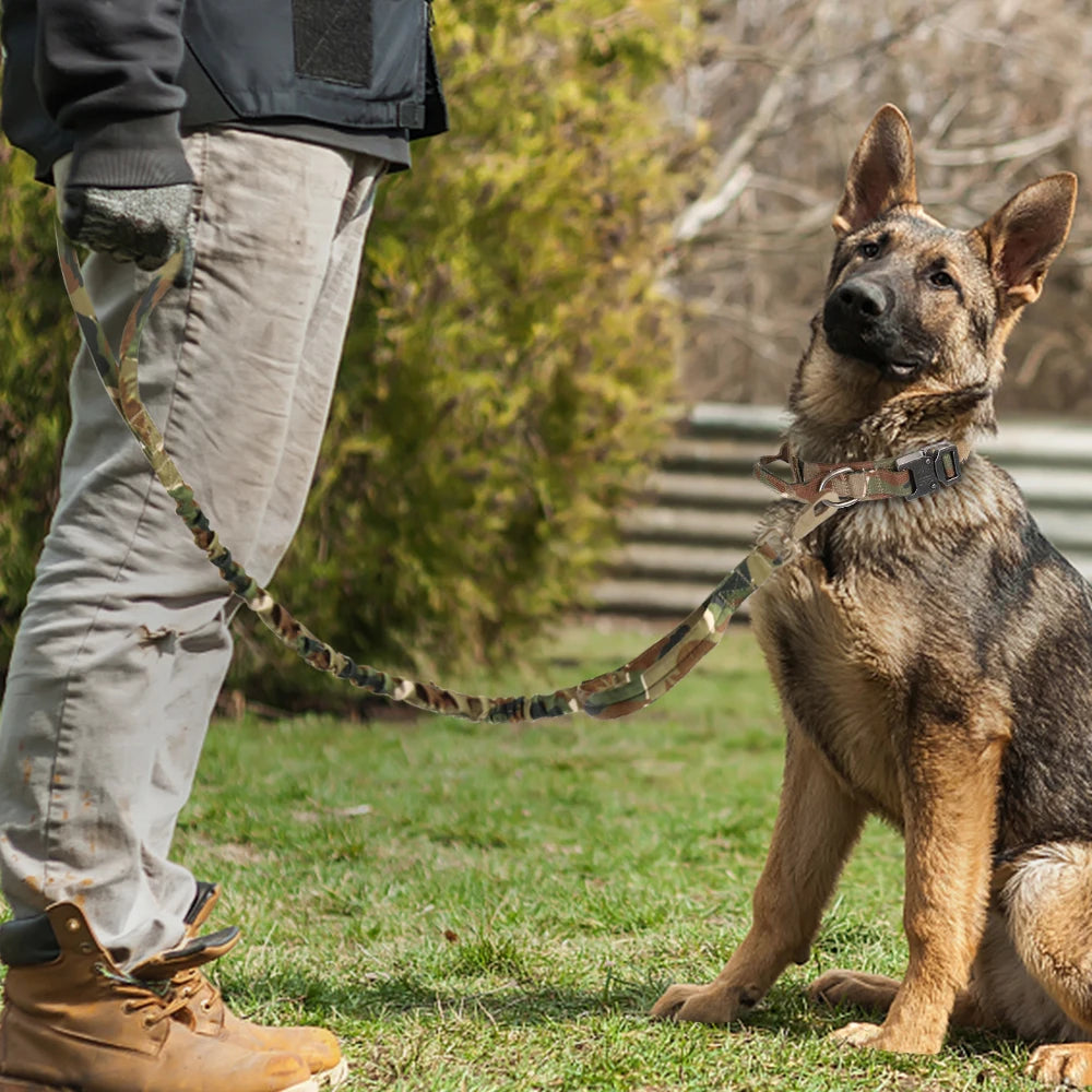 Collier tactique pour grand chien | Militcol™