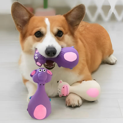 Jouet pour chien | Résistant et Ludique