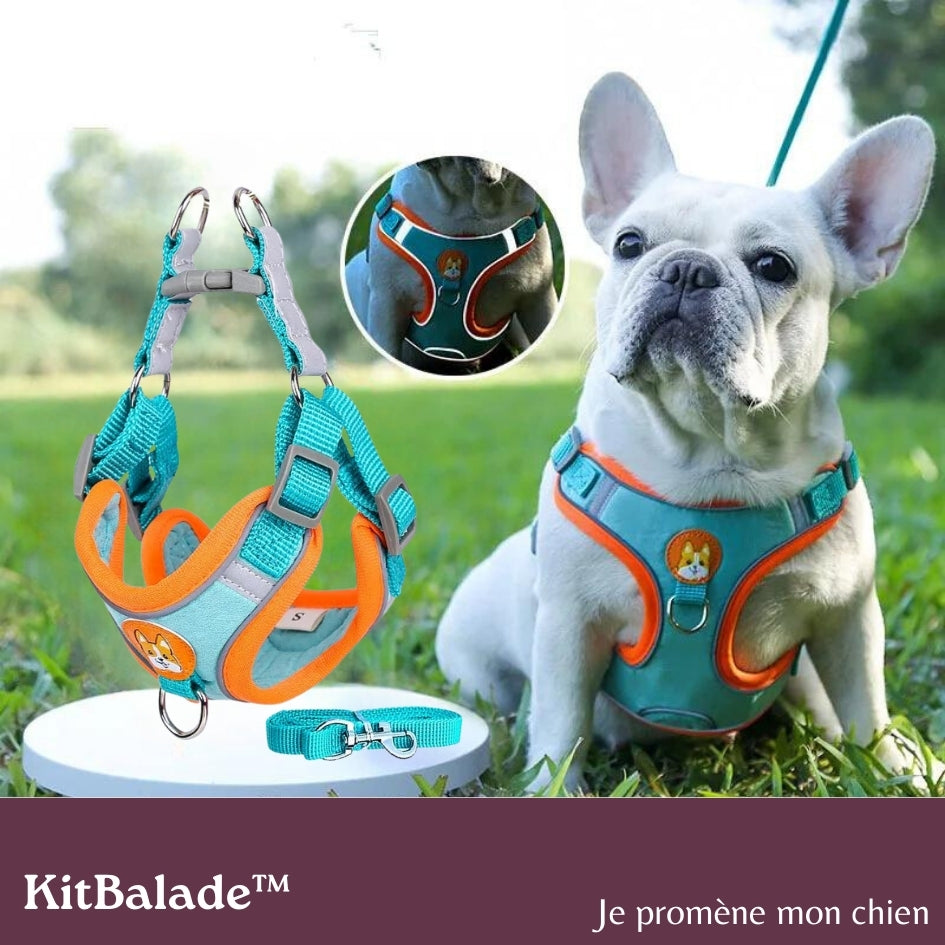 harnais-chien-anti-traction-kitbalade2