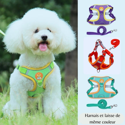 HARNAIS CHIEN ANTI TRACTION | KITBALADE™ - Je Promène Mon Chien