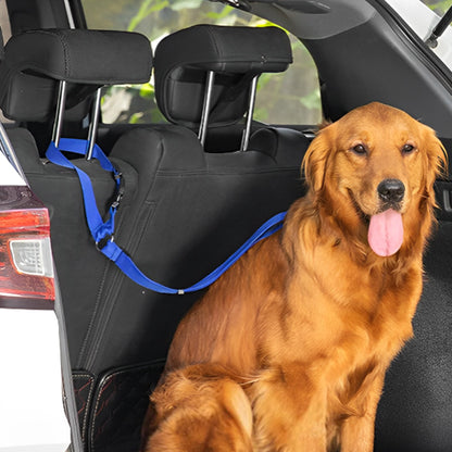 Laisse chien bleue pour le coffre