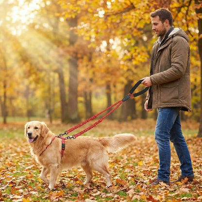 Laisse double pour chien | Robuste & Secure