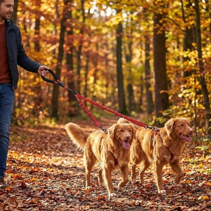 Laisse double pour chien | Robuste & Secure