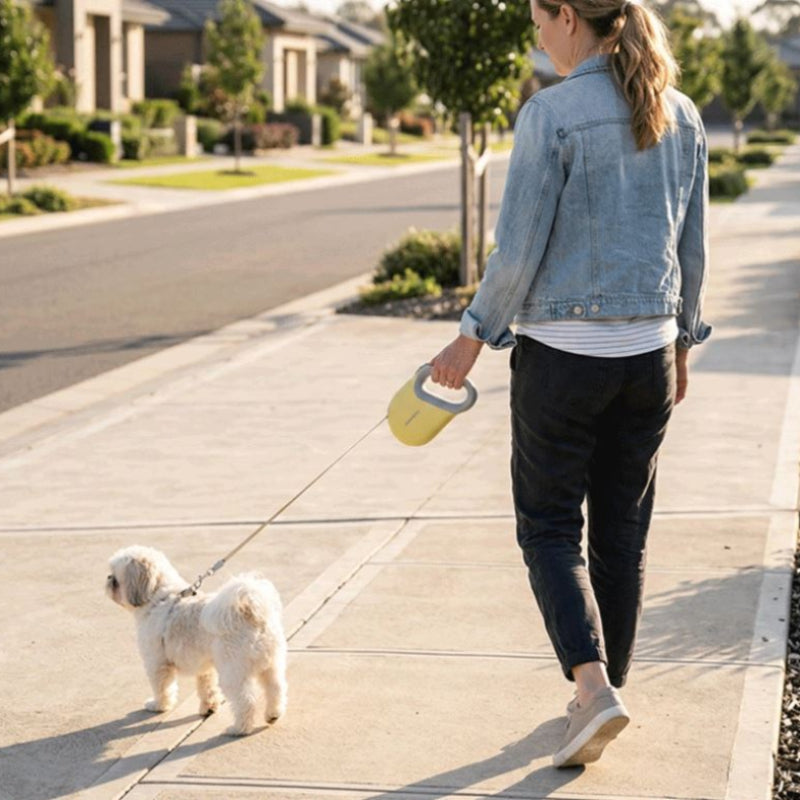 Laisse enrouleur chien promenade quotidienne