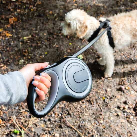 Laisse pour chien enrouleur | Confort et Sécurité