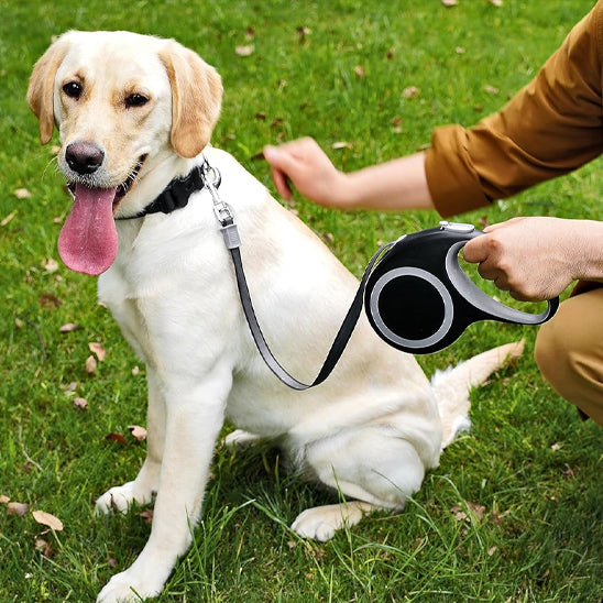 Laisse pour chien enrouleur assis